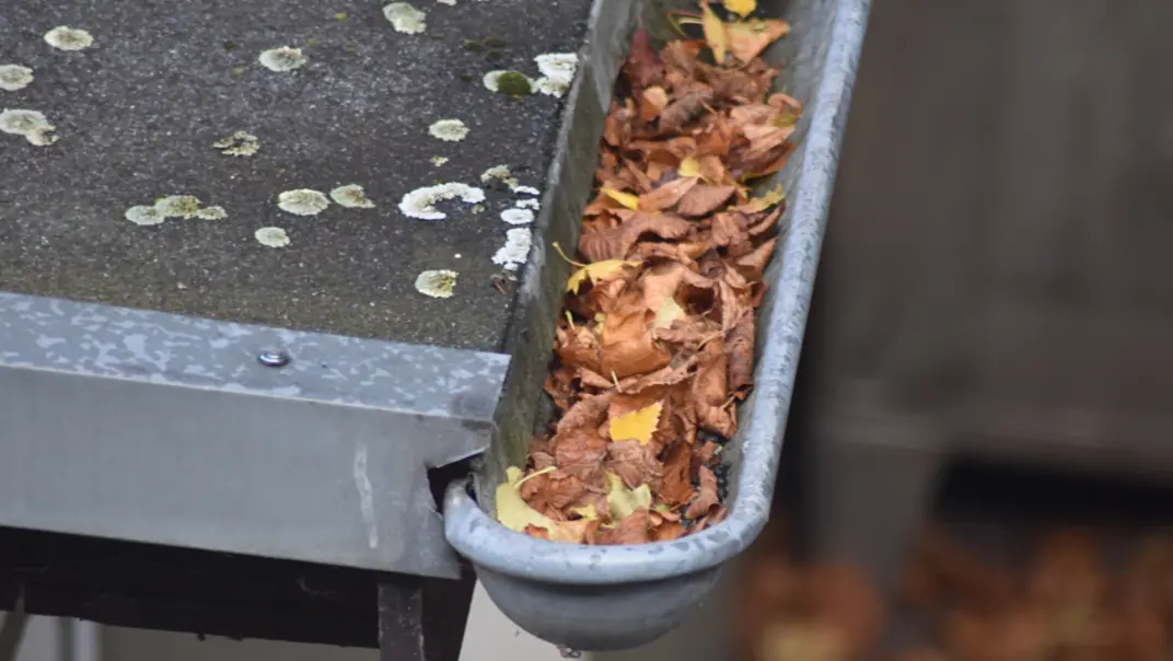TEC Dachschaeden erkennen regenrinne
