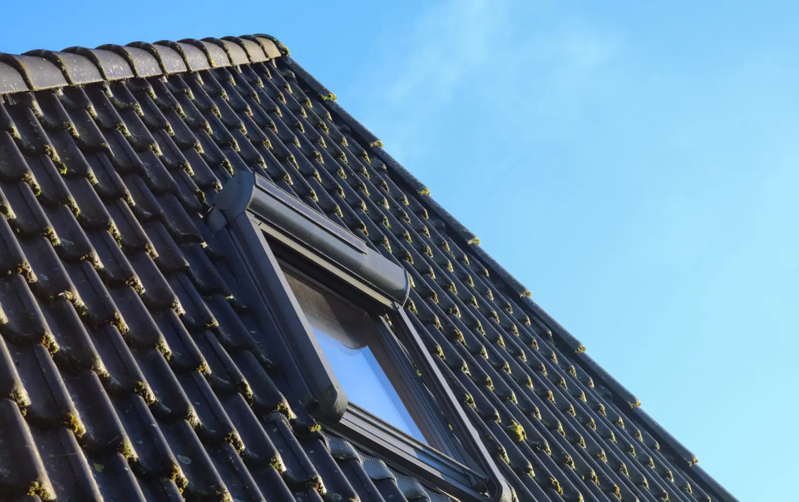 TEC Dachschaeden erkennen 6