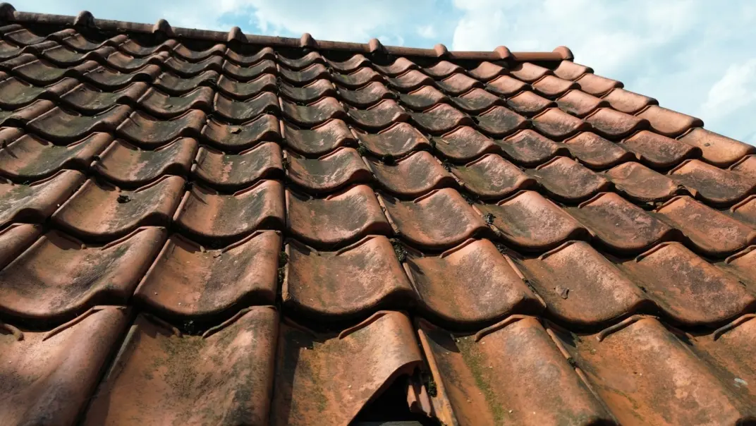 TEC Dachreinigung sinnvoll 3